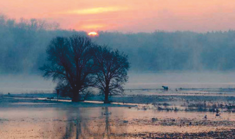 Das Oderbruch – Foto 2